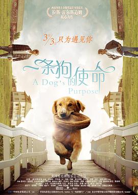 色婷婷综合久久久久中文