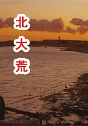 成年男女免费视频网站